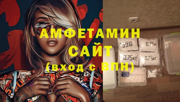 крисы Вязьма