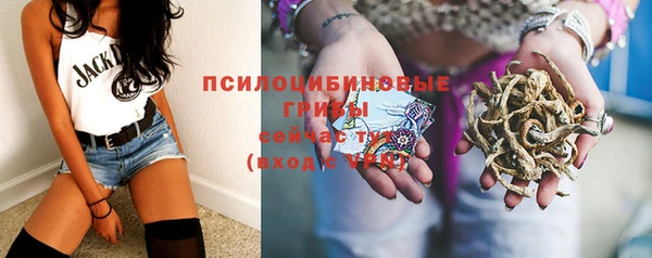 бошки Вяземский