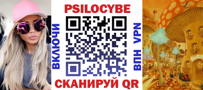Псилоцибиновые грибы Psilocybe  Березники 