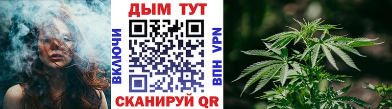 МАРИХУАНА сатива  Березники 